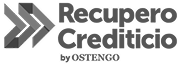 Recupero Crediticio